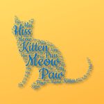 Word cloud with Shapecloud