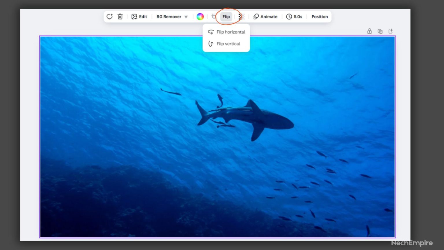 How To Flip An Image In Canva (Tutorial For Beginners)